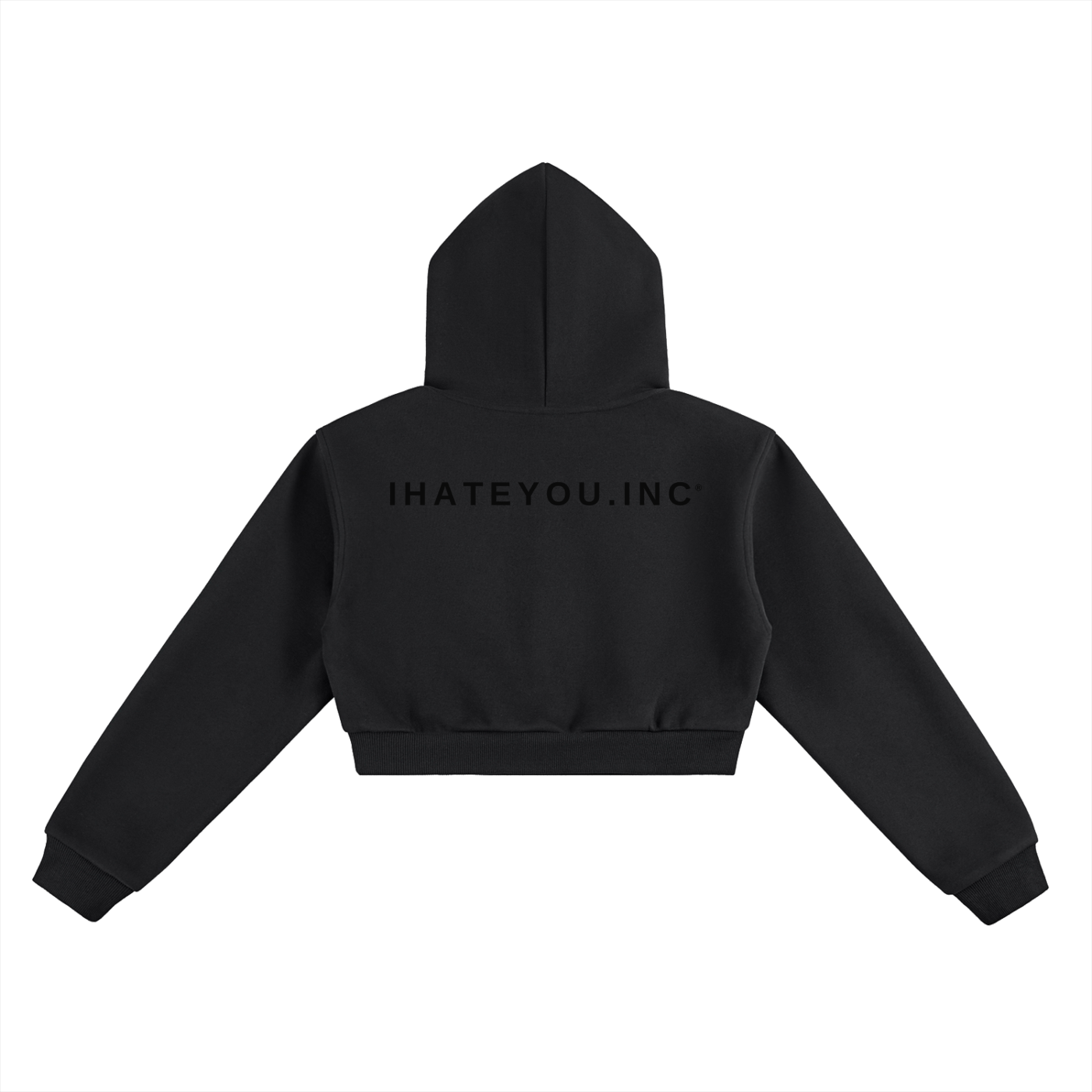 ihateyou.inc Cropped Hoodie