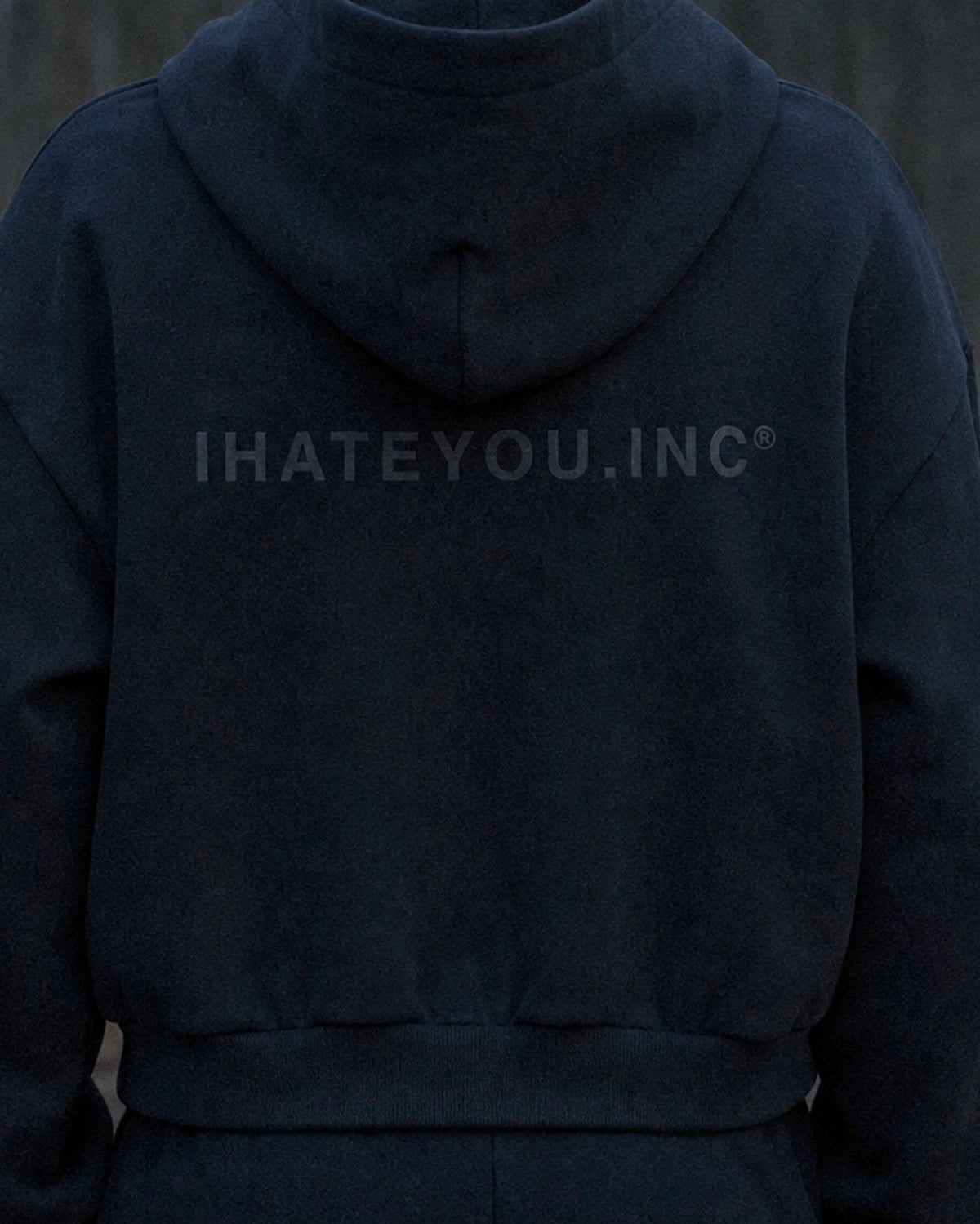 IHATEYOU.inc Women's Cropped Fleece Hoodie – Black — back on-model